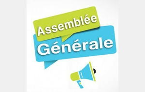 Assemblée générale de l'année civile 2019 : jeudi 29 octobre 2020 à 19h30