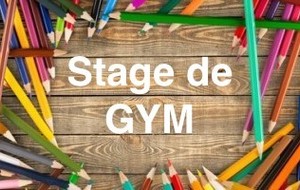 Stage de gym vacances de février : 2ème semaine