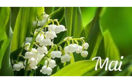 MAI 2023 - DATES IMPORTANTES : FERMETURES ET CHANGEMENTS D'HORAIRE